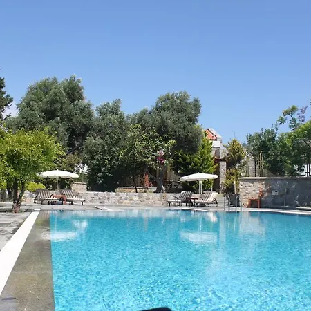 Villa Mandarin Villas *
